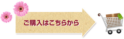 ご購入はこちらから