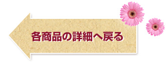 各商品の詳細へ戻る